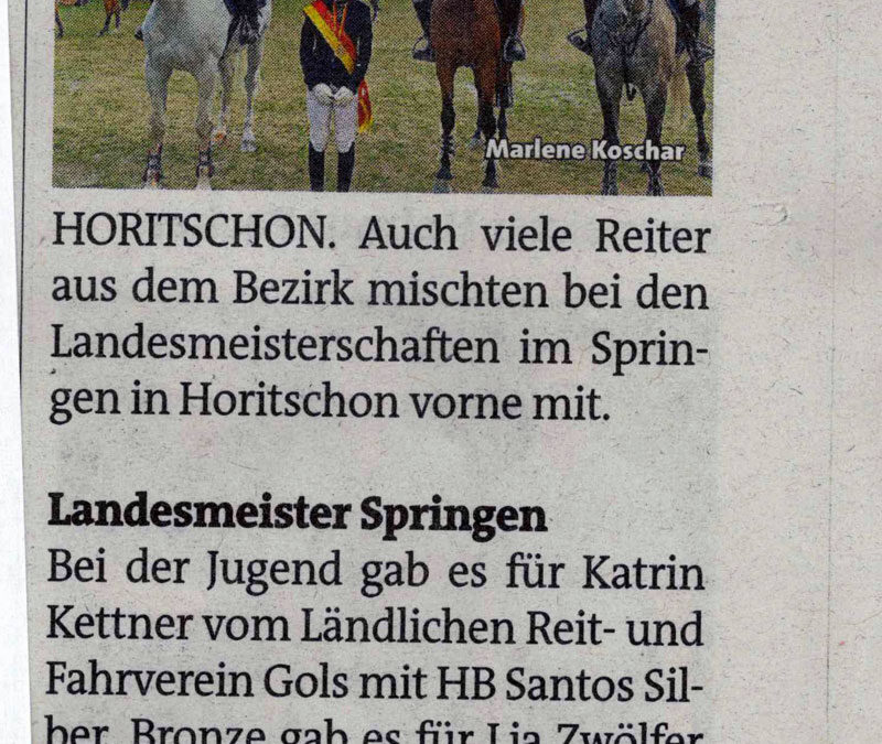 Landesmeisterschaft im Springreiten